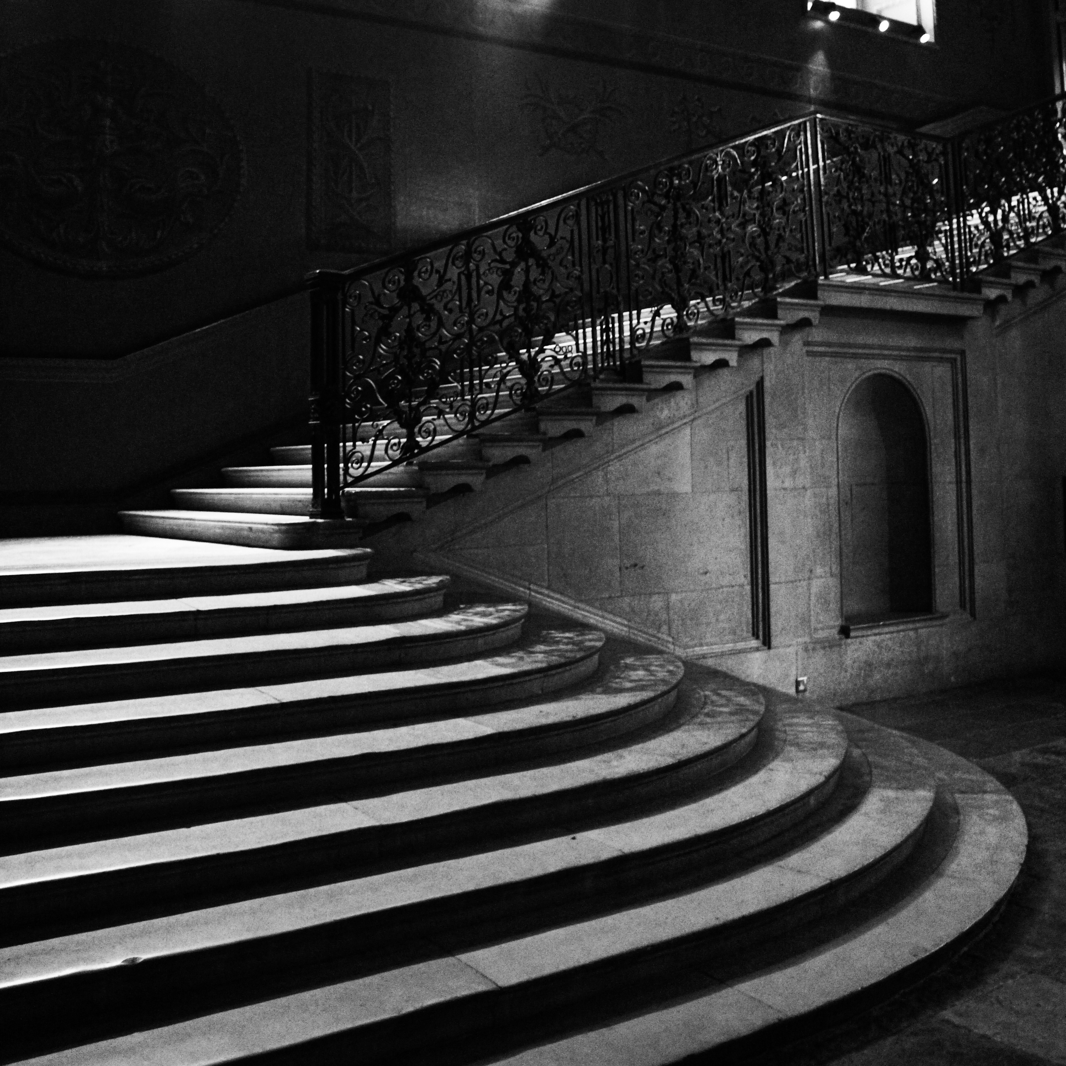 Professor Blue Echoes in Empty Halls