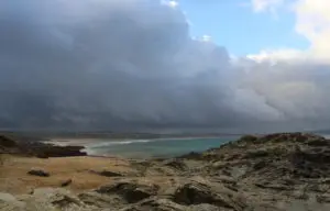 Professor Blue - Cornish shoreline